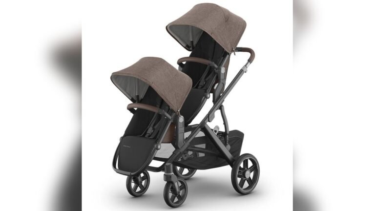 How to Choose the Right Double Stroller, Ultimate Parent’s Guide