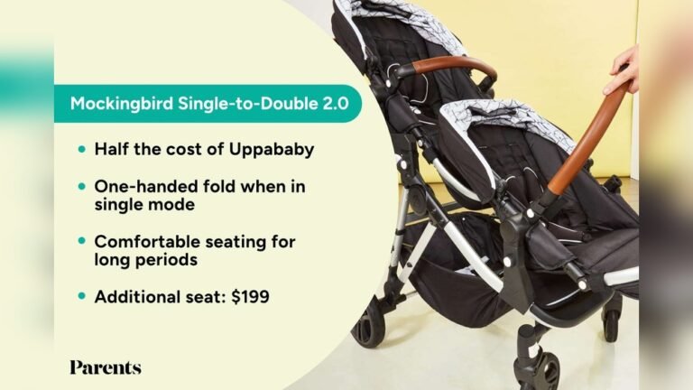 Parent Reviews of Double Stroller, Honest Insights & Top Picks