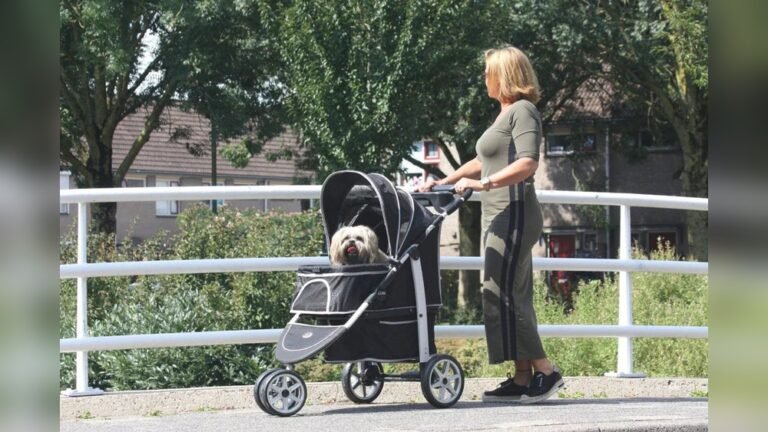 Step by Step Guide to Using Stroller Rain Cover: Ultimate Protection Tips
