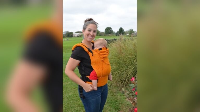 Affordable Soft Structured Carrier | Top Picks for Comfort & Value
